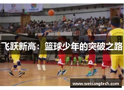 飞跃新高:篮球少年的突破之路 飞跃新高:篮球少年的突破之路